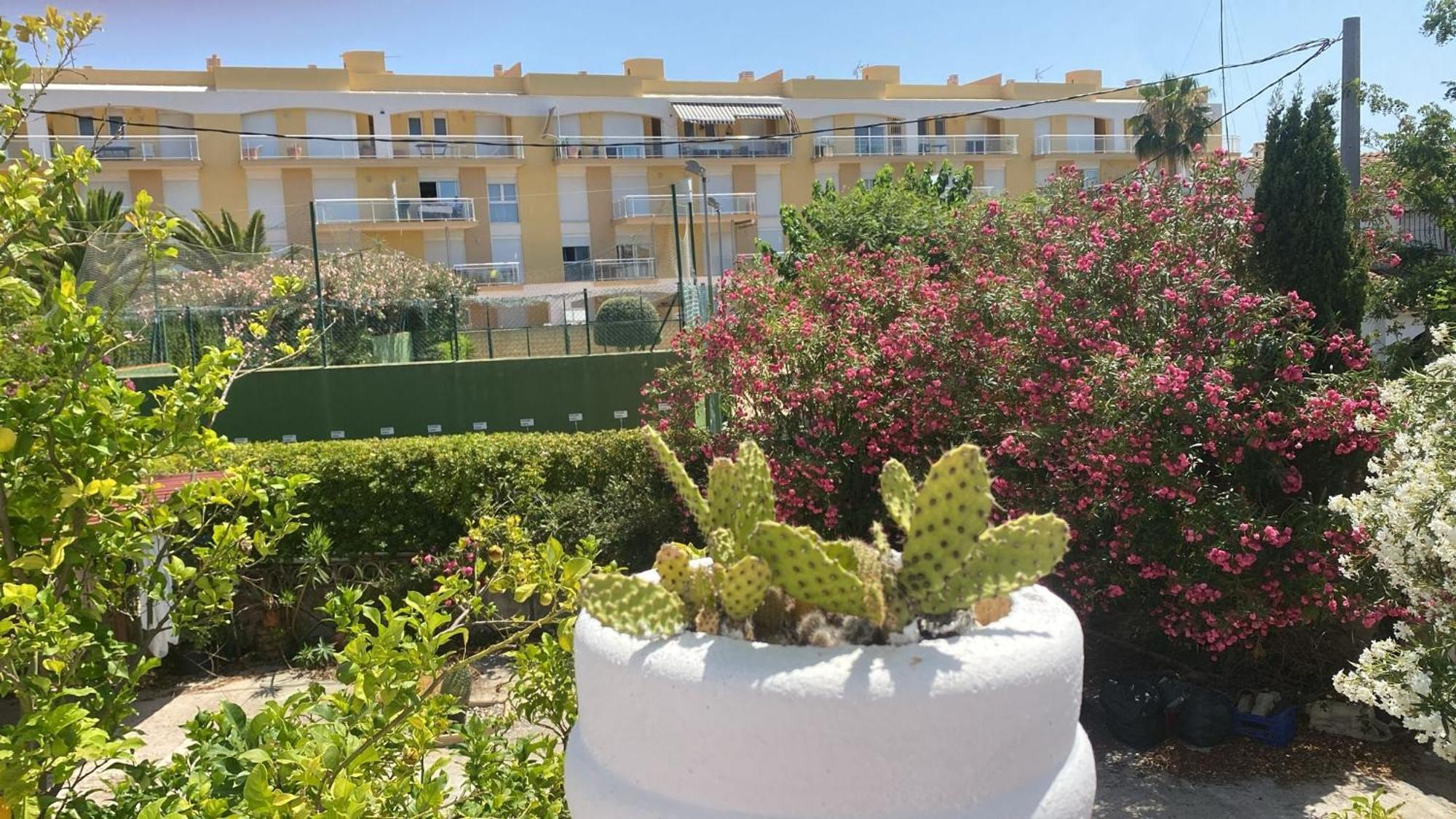 Chalet Denia Playa Primera Linea Villa Kültér fotó